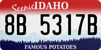 ID license plate 8B5317B