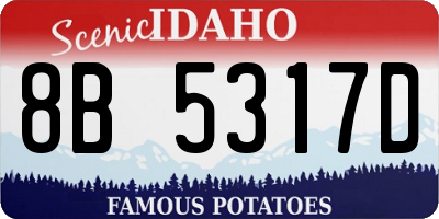 ID license plate 8B5317D