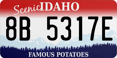 ID license plate 8B5317E