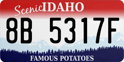 ID license plate 8B5317F