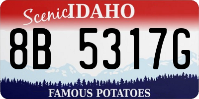 ID license plate 8B5317G
