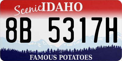 ID license plate 8B5317H