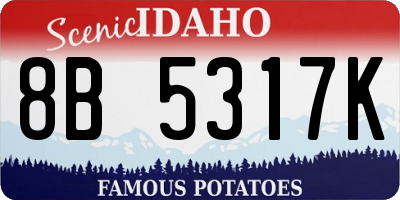 ID license plate 8B5317K