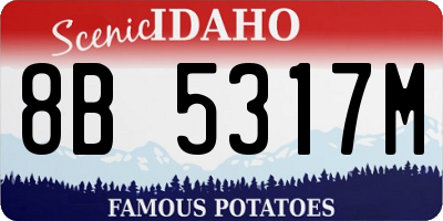 ID license plate 8B5317M