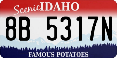 ID license plate 8B5317N