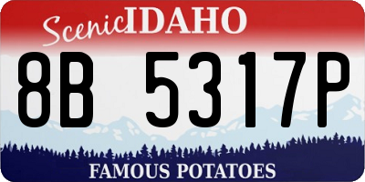 ID license plate 8B5317P