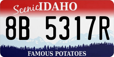 ID license plate 8B5317R