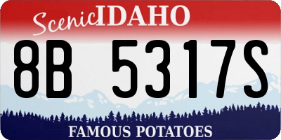 ID license plate 8B5317S