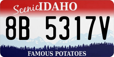ID license plate 8B5317V