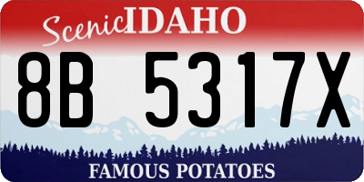 ID license plate 8B5317X