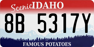 ID license plate 8B5317Y