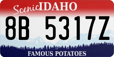 ID license plate 8B5317Z