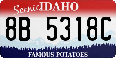ID license plate 8B5318C