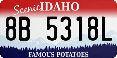 ID license plate 8B5318L