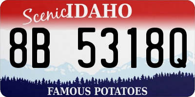 ID license plate 8B5318Q