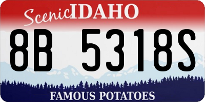 ID license plate 8B5318S