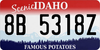 ID license plate 8B5318Z
