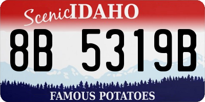 ID license plate 8B5319B