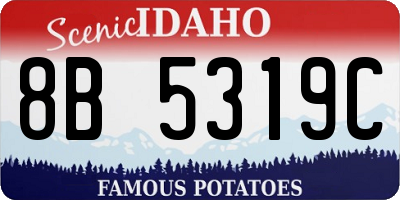 ID license plate 8B5319C