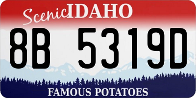 ID license plate 8B5319D