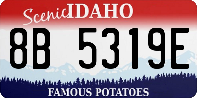 ID license plate 8B5319E