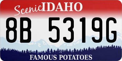 ID license plate 8B5319G