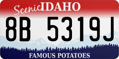 ID license plate 8B5319J
