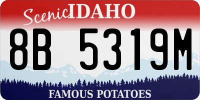 ID license plate 8B5319M