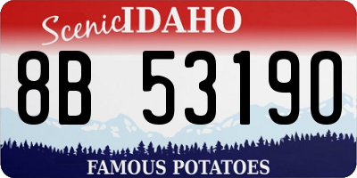 ID license plate 8B5319O