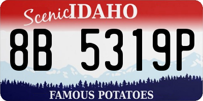 ID license plate 8B5319P