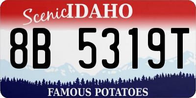 ID license plate 8B5319T