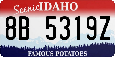 ID license plate 8B5319Z