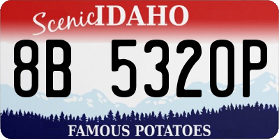 ID license plate 8B5320P
