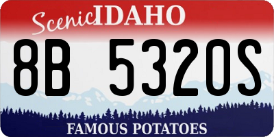 ID license plate 8B5320S