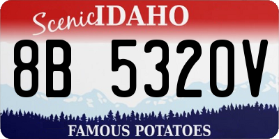 ID license plate 8B5320V