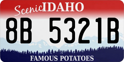 ID license plate 8B5321B