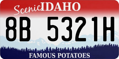 ID license plate 8B5321H