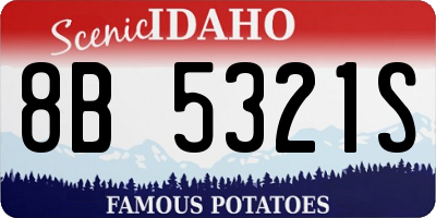 ID license plate 8B5321S
