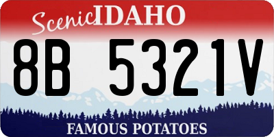 ID license plate 8B5321V