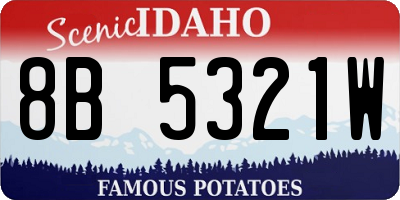 ID license plate 8B5321W