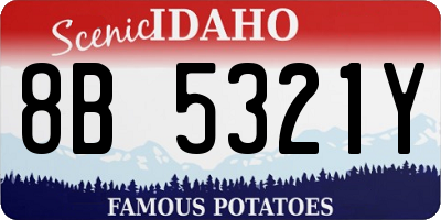 ID license plate 8B5321Y
