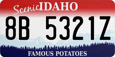 ID license plate 8B5321Z
