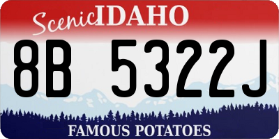 ID license plate 8B5322J