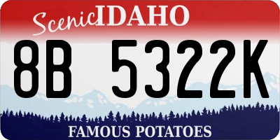ID license plate 8B5322K