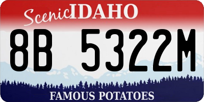 ID license plate 8B5322M