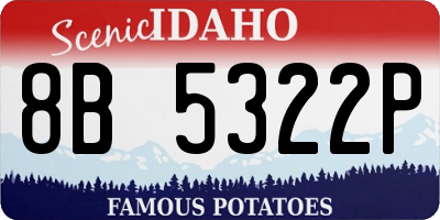 ID license plate 8B5322P