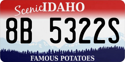 ID license plate 8B5322S