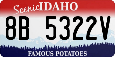 ID license plate 8B5322V