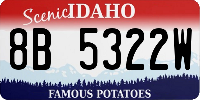 ID license plate 8B5322W
