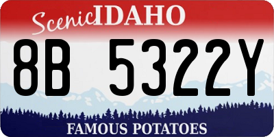 ID license plate 8B5322Y